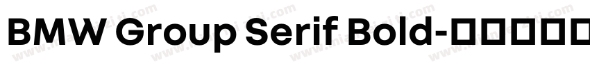 BMW Group Serif Bold字体转换